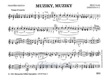 ČESKÁ MUZIKA, MUZIKY, MUZIKY